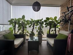 Ecopolitan (D19), Condominium #630076271